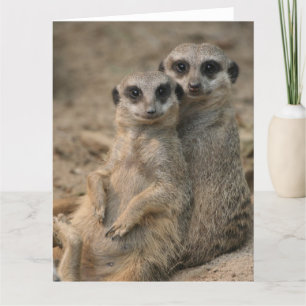Meerkat-Couple Card
