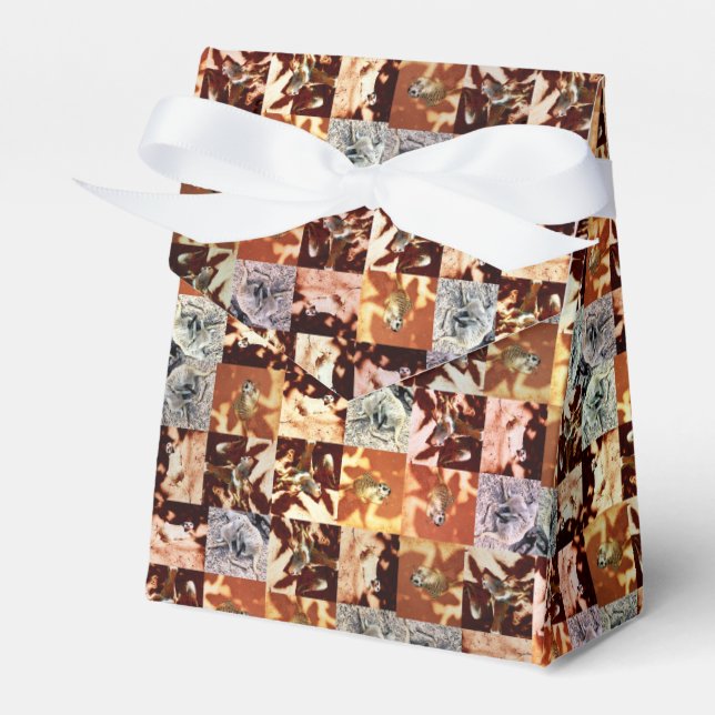 Meerkat Crossweave Pattern, Favor Box (Front Side)