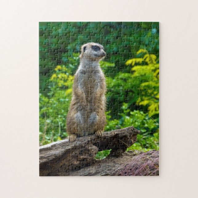 Meerkat dans les bois Jigsaw puzzle (Vertical)