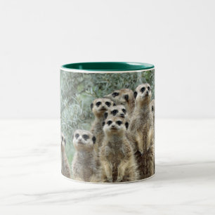 Meerkat Family 01 Two-Tone Coffee Mug