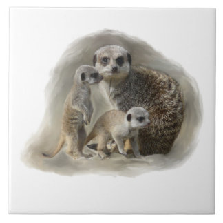 meerkat family tile