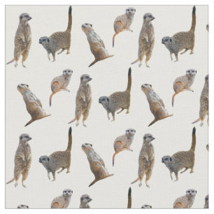Meerkat Frenzy Fabric (choose colour)