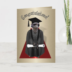 Meerkat Graduate Card
