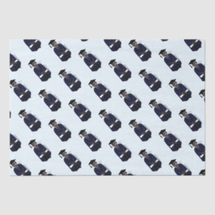 Meerkat Graduate Gown Graduation Tissue Paper