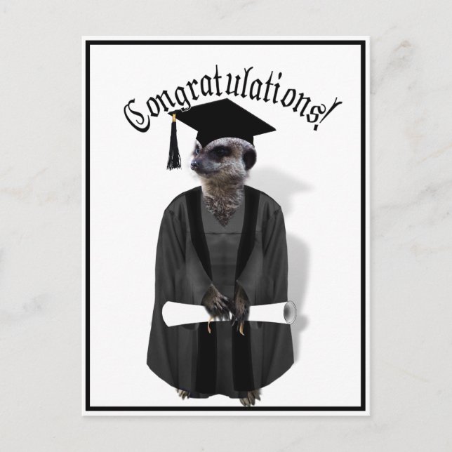 Meerkat Graduate W/Grey Gown & Black Sash Postcard (Front)