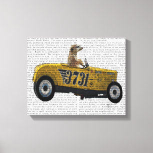 Meerkat in Hot Rod Canvas Print