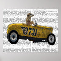 Meerkat in Hot Rod