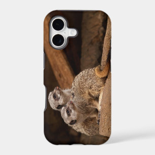 Meerkat iPhone 5