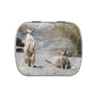 Meerkat - Jelly Bean Candy Tin