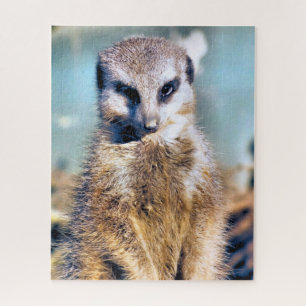MEERKAT JIGSAW PUZZLE