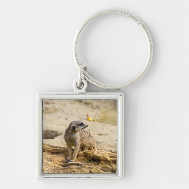 Meerkat Keychain (Front)