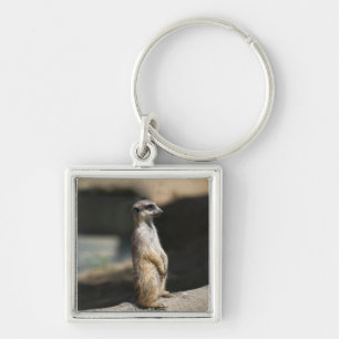 Meerkat Keychain