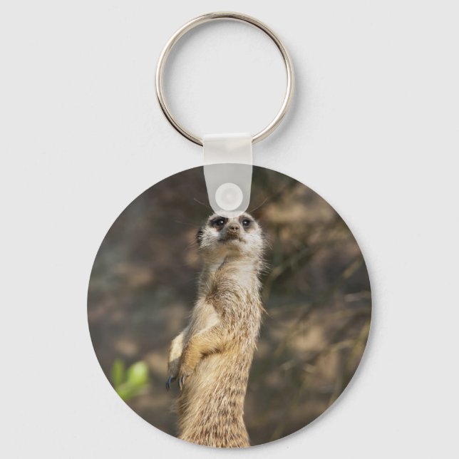 Meerkat Keychain (Front)