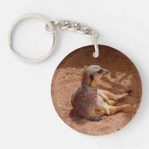 Meerkat Lazy Days,