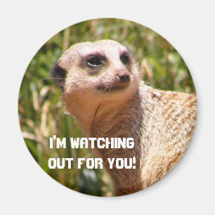 Meerkat lookout magnet