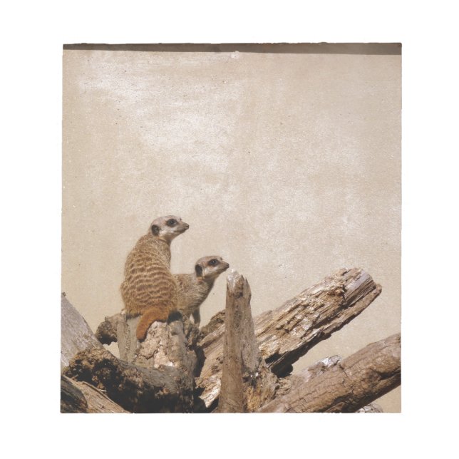 Meerkat Lookout Notepad (Front)