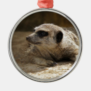 Meerkat Metal Ornament