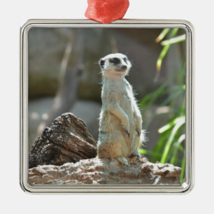 Meerkat Metal Ornament