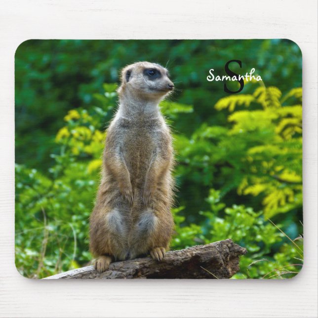 Meerkat Mouse mat (Front)