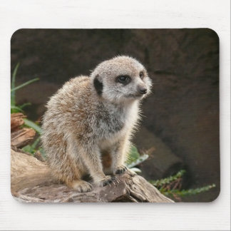 Meerkat Mouse Pad