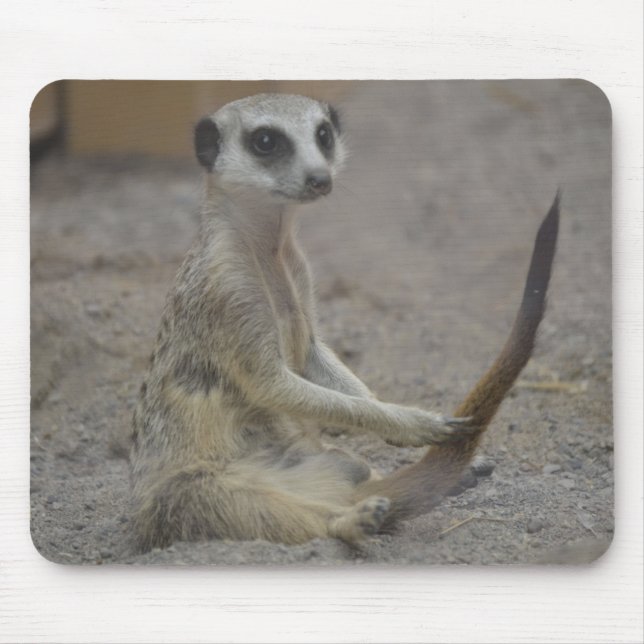 Meerkat Mouse Pad (Front)