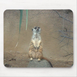 Meerkat Mouse Pad