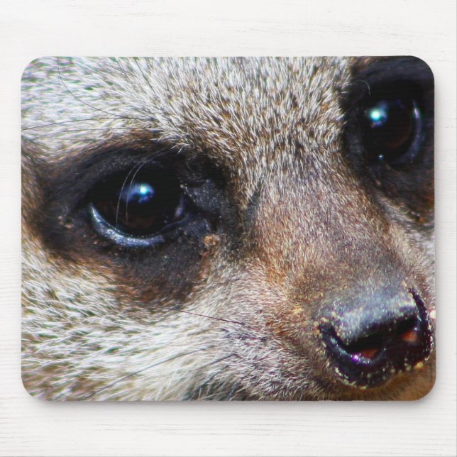 Meerkat Mouse Pad (Front)