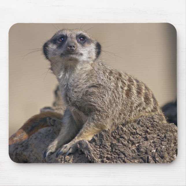 Meerkat Mousemat Mouse Pad (Front)
