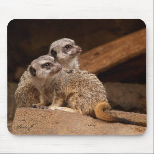 Meerkat Mousepad