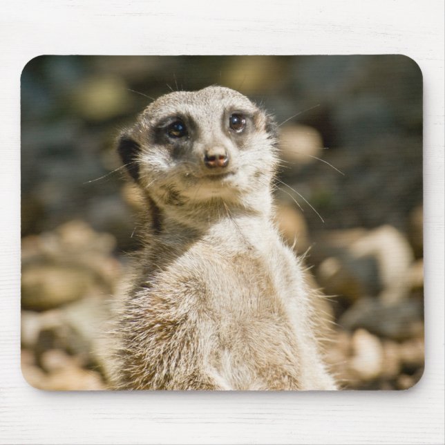 Meerkat Mousepad (Front)