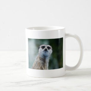 Meerkat Mug