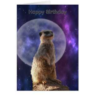 Meerkat On Blue Full Moon Night, Birthday Card