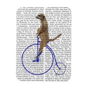 Meerkat On Blue Penny Farthing Magnet