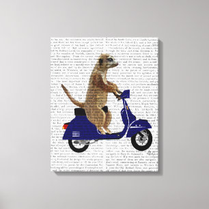 Meerkat on Dark Blue Moped Canvas Print