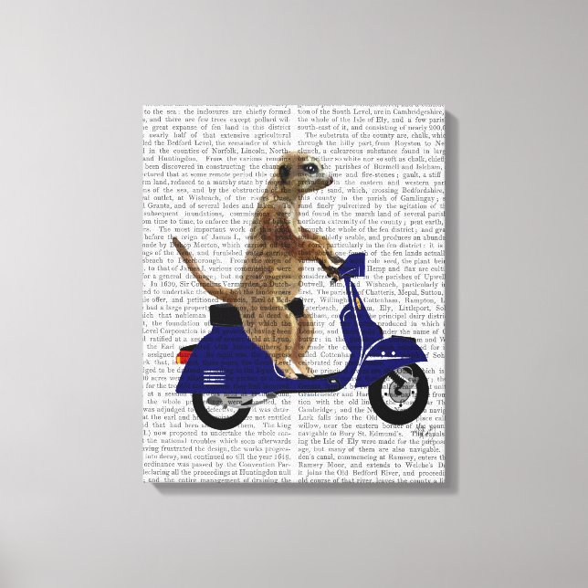 Meerkat on Dark Blue Moped Canvas Print (Front)