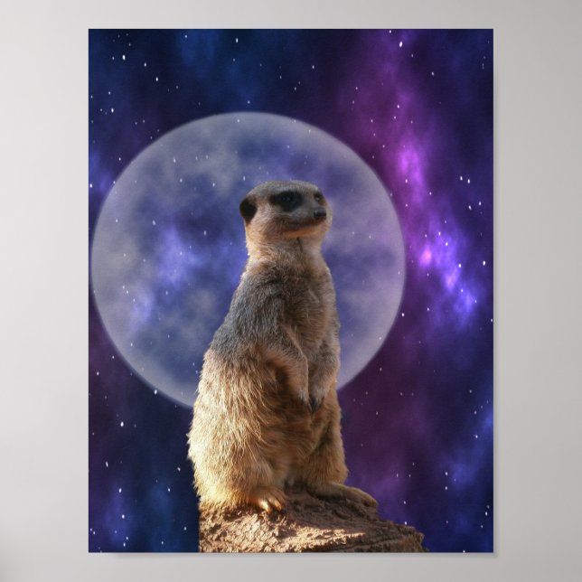 Meerkat On Night Watch, Wall Poster (Front)