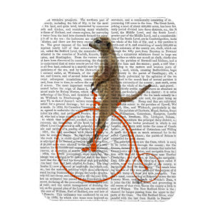 Meerkat on Orange Penny Farthing Magnet