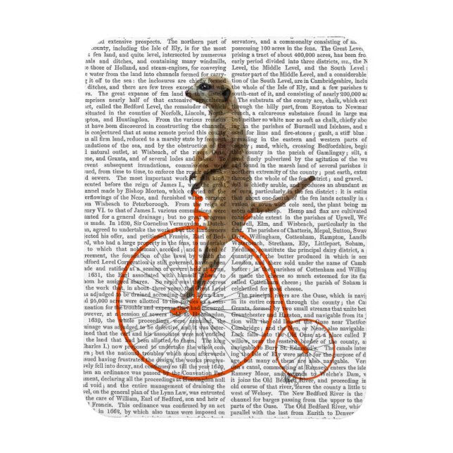Meerkat on Orange Penny Farthing Magnet (Vertical)
