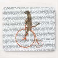 Meerkat on Orange Penny Farthing