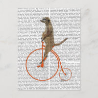 Meerkat on Orange Penny Farthing