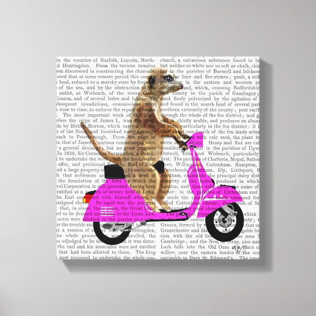 Meerkat on Pink Moped Canvas Print (Front)