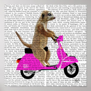 Meerkat on Pink Moped Poster