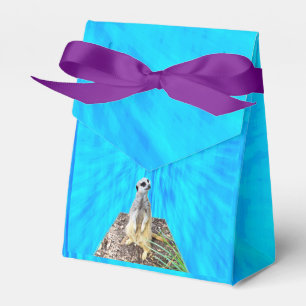 Meerkat On Sponged Blue, Favor Box