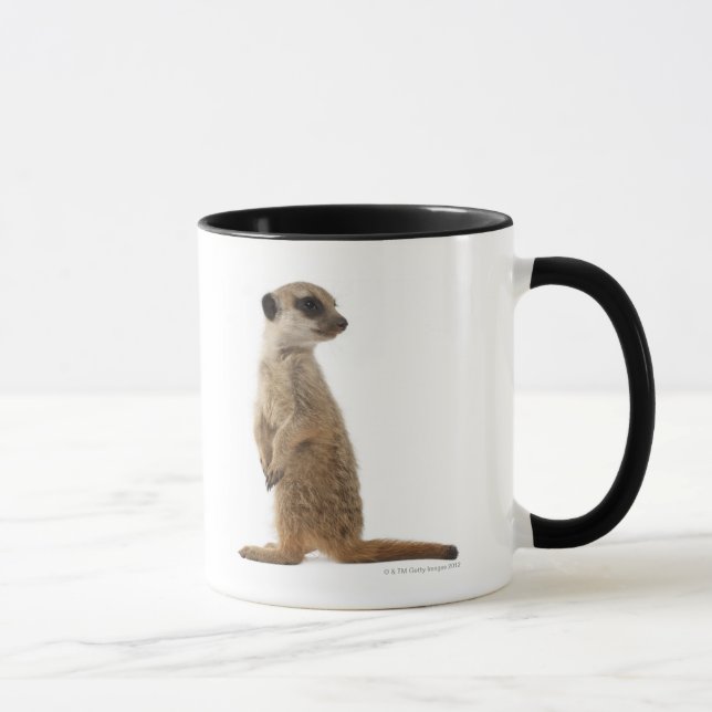 Meerkat or Suricate - Suricata suricatta Mug (Right)