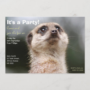 Meerkat Party Invitation