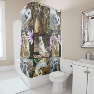 Meerkat Photo Collage,