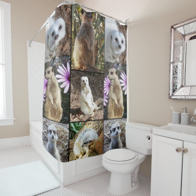 Meerkat Photo Collage, (In Situ)