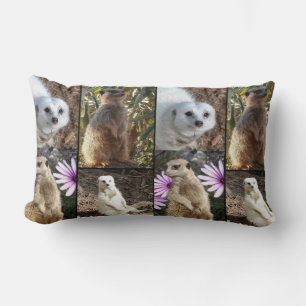 Meerkat Photo Collage, Lumbar Cushion. Pillow