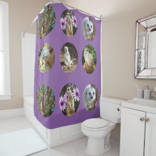 Meerkat_Photo_Collage_Purple_Shower_Curtain