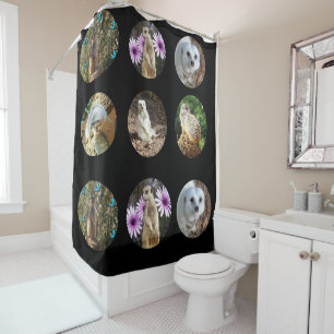 Meerkat_Photo_Collage_Shower_Curtain